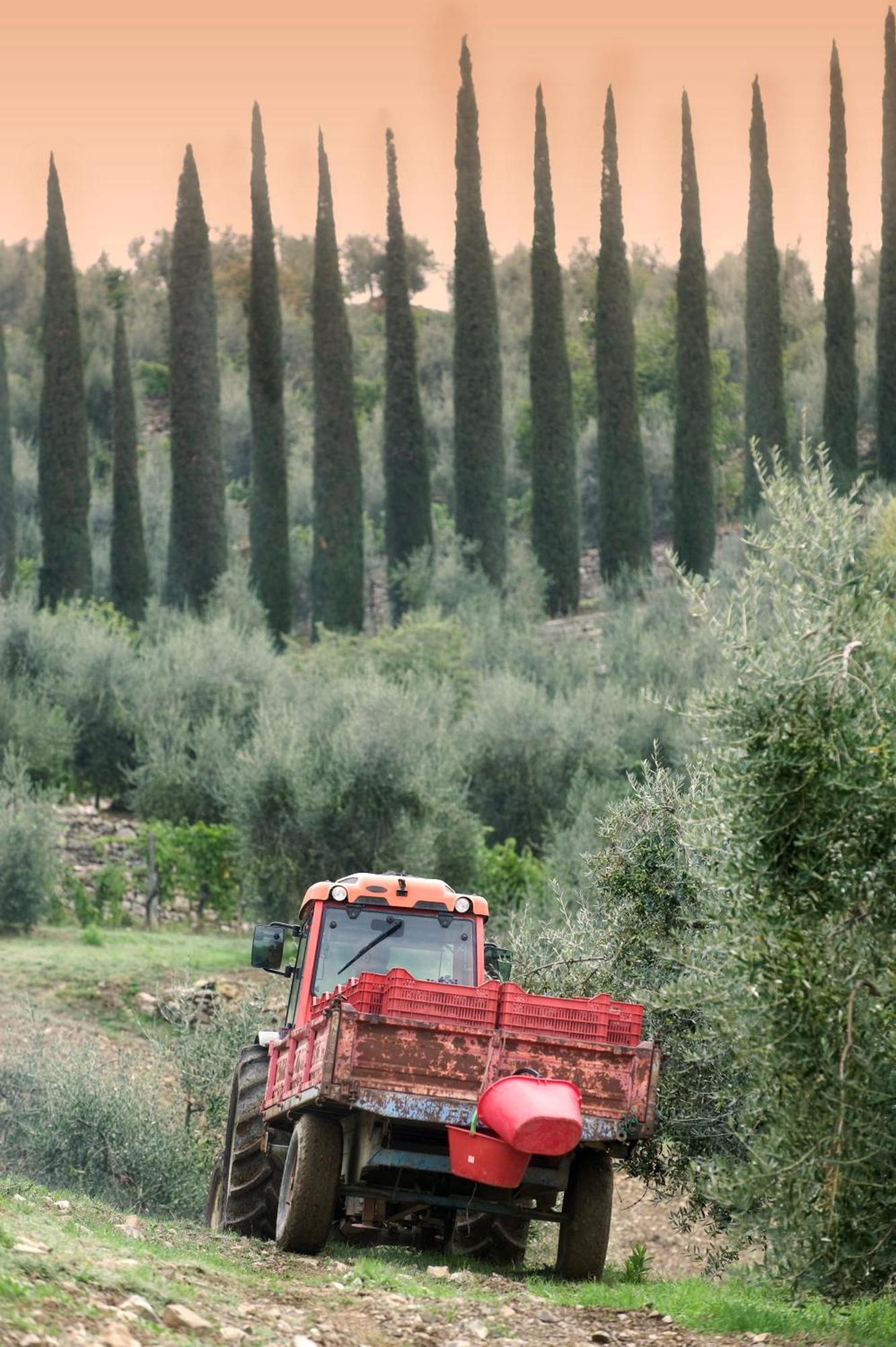 La Valletta Boutique Wine Estate Панцано Экстерьер фото